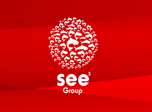 See3 Group Pty Ltd